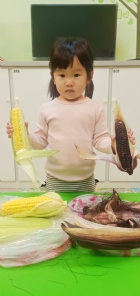10903生活教育～玉米不是只有黃色的哦！還有白色和紫色的，老師帶來讓大家看看有什麼不同吧！