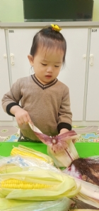 10903生活教育～玉米不是只有黃色的哦！還有白色和紫色的，老師帶來讓大家看看有什麼不同吧！