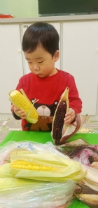 10903生活教育～玉米不是只有黃色的哦！還有白色和紫色的，老師帶來讓大家看看有什麼不同吧！