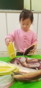 10903生活教育～玉米不是只有黃色的哦！還有白色和紫色的，老師帶來讓大家看看有什麼不同吧！