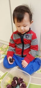 10903生活教育～玉米不是只有黃色的哦！還有白色和紫色的，老師帶來讓大家看看有什麼不同吧！