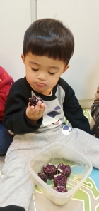 10903生活教育～玉米不是只有黃色的哦！還有白色和紫色的，老師帶來讓大家看看有什麼不同吧！