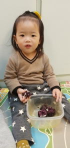 10903生活教育～玉米不是只有黃色的哦！還有白色和紫色的，老師帶來讓大家看看有什麼不同吧！