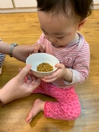 10903三月桂花香～三月的桂花好香啊！老師遠赴花蓮看到新鮮的桂花，拿來和寶貝們分享～很香吧！