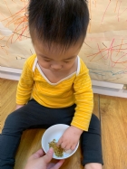 10903三月桂花香～三月的桂花好香啊！老師遠赴花蓮看到新鮮的桂花，拿來和寶貝們分享～很香吧！