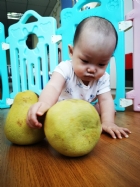 11010節慶活動-無毒柚子最好玩