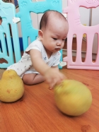 11010節慶活動-無毒柚子最好玩