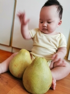 11010節慶活動-無毒柚子最好玩