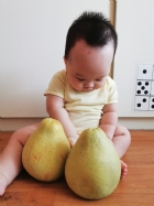 11010節慶活動-無毒柚子最好玩