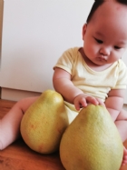 11010節慶活動-無毒柚子最好玩