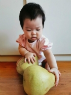 11010節慶活動-無毒柚子最好玩