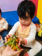 年來囉～什麼東西是過年常看到的蔬果呢？