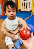 年來囉～什麼東西是過年常看到的蔬果呢？