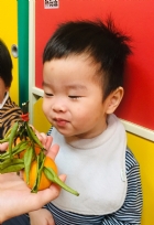 年來囉～什麼東西是過年常看到的蔬果呢？