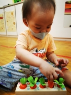 11006嘿喲嘿喲種蘿蔔囉!