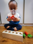 11006嘿喲嘿喲種蘿蔔囉!