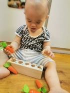 11006嘿喲嘿喲種蘿蔔囉!