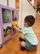 來認認看動物與昆蟲的特徵