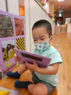 來認認看動物與昆蟲的特徵