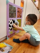 來認認看動物與昆蟲的特徵