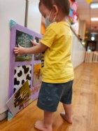 來認認看動物與昆蟲的特徵