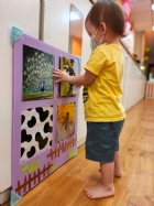 來認認看動物與昆蟲的特徵