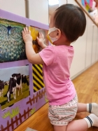 來認認看動物與昆蟲的特徵