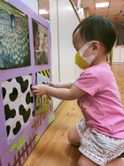 來認認看動物與昆蟲的特徵