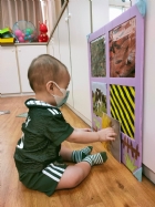 來認認看動物與昆蟲的特徵