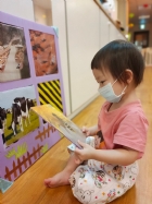 來認認看動物與昆蟲的特徵