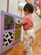 來認認看動物與昆蟲的特徵