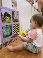 來認認看動物與昆蟲的特徵