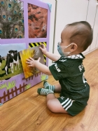 來認認看動物與昆蟲的特徵