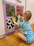 來認認看動物與昆蟲的特徵