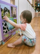 來認認看動物與昆蟲的特徵