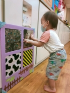 來認認看動物與昆蟲的特徵