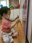 來認認看動物與昆蟲的特徵