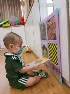 來認認看動物與昆蟲的特徵