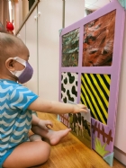 來認認看動物與昆蟲的特徵