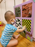 來認認看動物與昆蟲的特徵