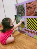 來認認看動物與昆蟲的特徵