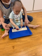 11007荳芽寶寶的形狀及顏色配對