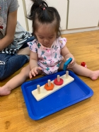 11007荳芽寶寶的形狀及顏色配對