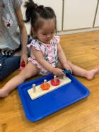 11007荳芽寶寶的形狀及顏色配對