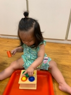 手眼協調課程~顏色敲敲樂