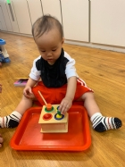 手眼協調課程~顏色敲敲樂