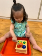 手眼協調課程~顏色敲敲樂