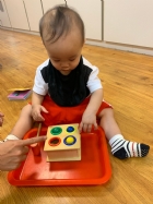 手眼協調課程~顏色敲敲樂