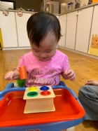 手眼協調課程~顏色敲敲樂