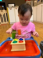 手眼協調課程~顏色敲敲樂